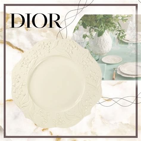 dior plates dupe|christian dior knock offs.